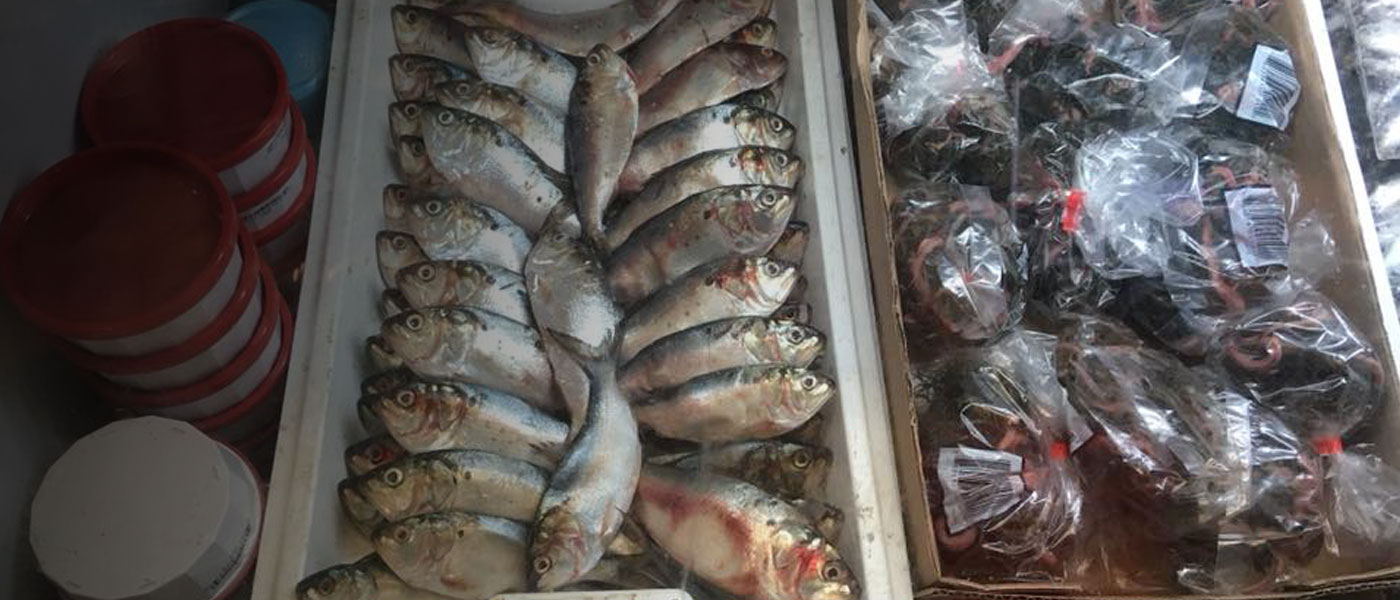 bait and tackle shop near me,Save up to