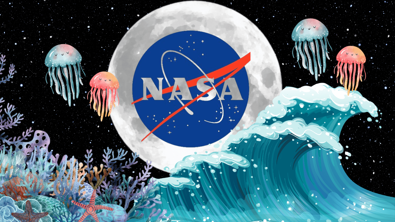 Why Did Nasa Stop Exploring The Ocean The Story Behind It