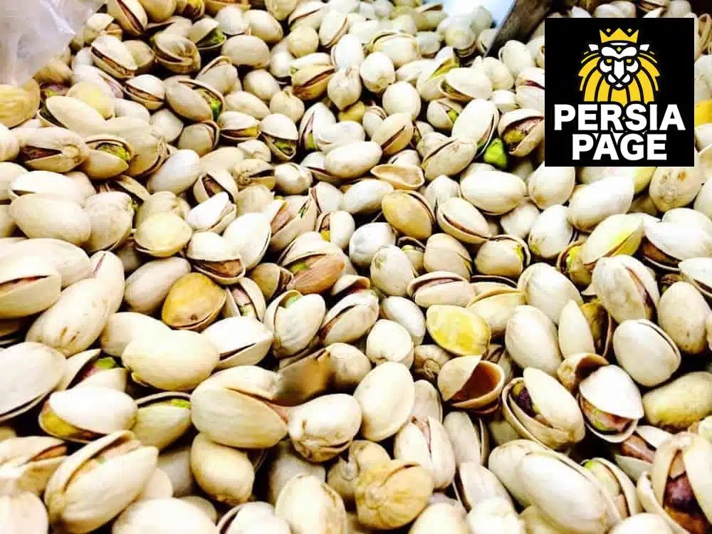 Q Market Iranian / Persian Grocery Store in Van Nuys, CA