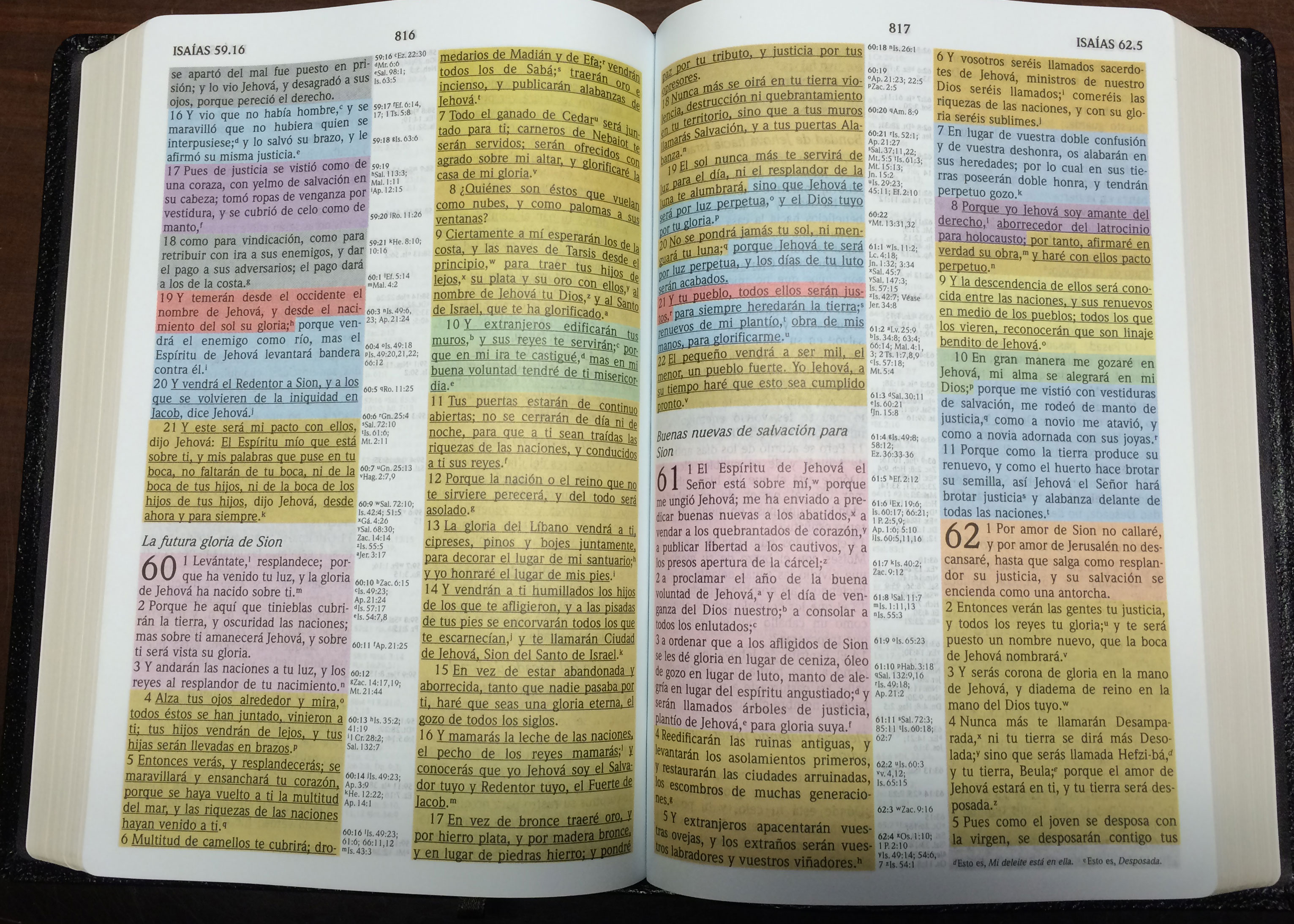 RVR 1960 Spanish Rainbow Study Bible (Full Color) Brown Leathertouch
