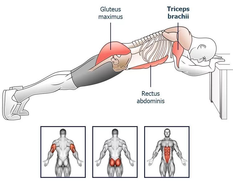 Bovenlichaam Trainen Zonder Apparaten - Pt24