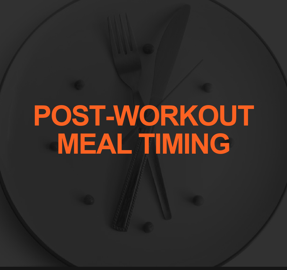 The Importance of PostWorkout Meal Timing Myth or Mandatory