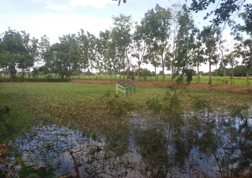 Bulacan Farm Lot for Sale San Ildefonso persqmproperties