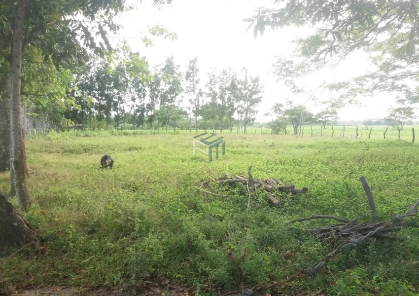 Bulacan Farm Lot for Sale San Ildefonso persqmproperties