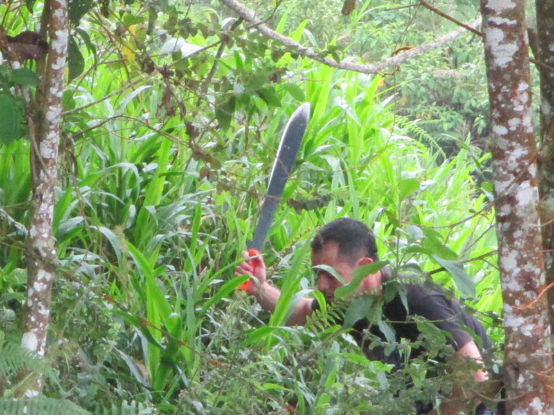 Top 10 Best Survival Machetes in 2024 for Camping and More