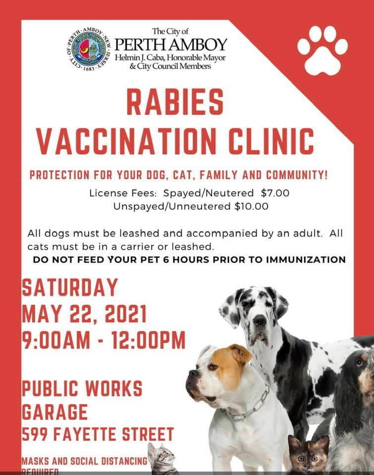 Rabies Vaccination Clinic Perth Amboy Now