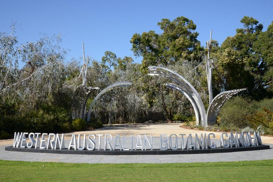 Kings Park Botanic Gardens Perth Diary