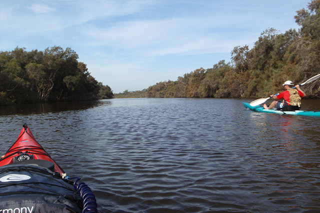 Top Watersports in Perth to Try This Summer Perth Girl