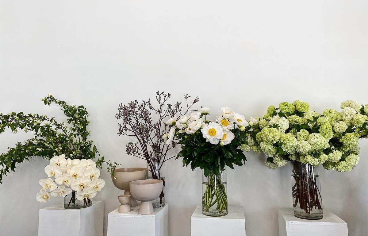 12 Of Perth's Best Florists (Who Deliver!) Perth Is OK!