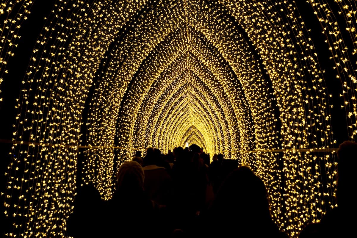 Kings Park To Transform Into A Winter Wonderland With Lightscape