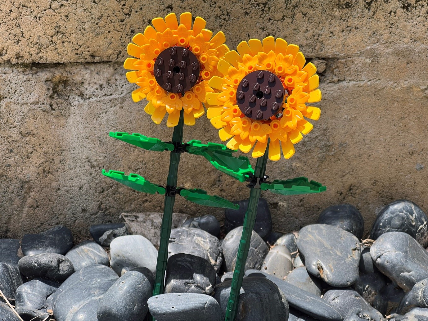 Review 40524 Sunflowers Perth Lego Users Group