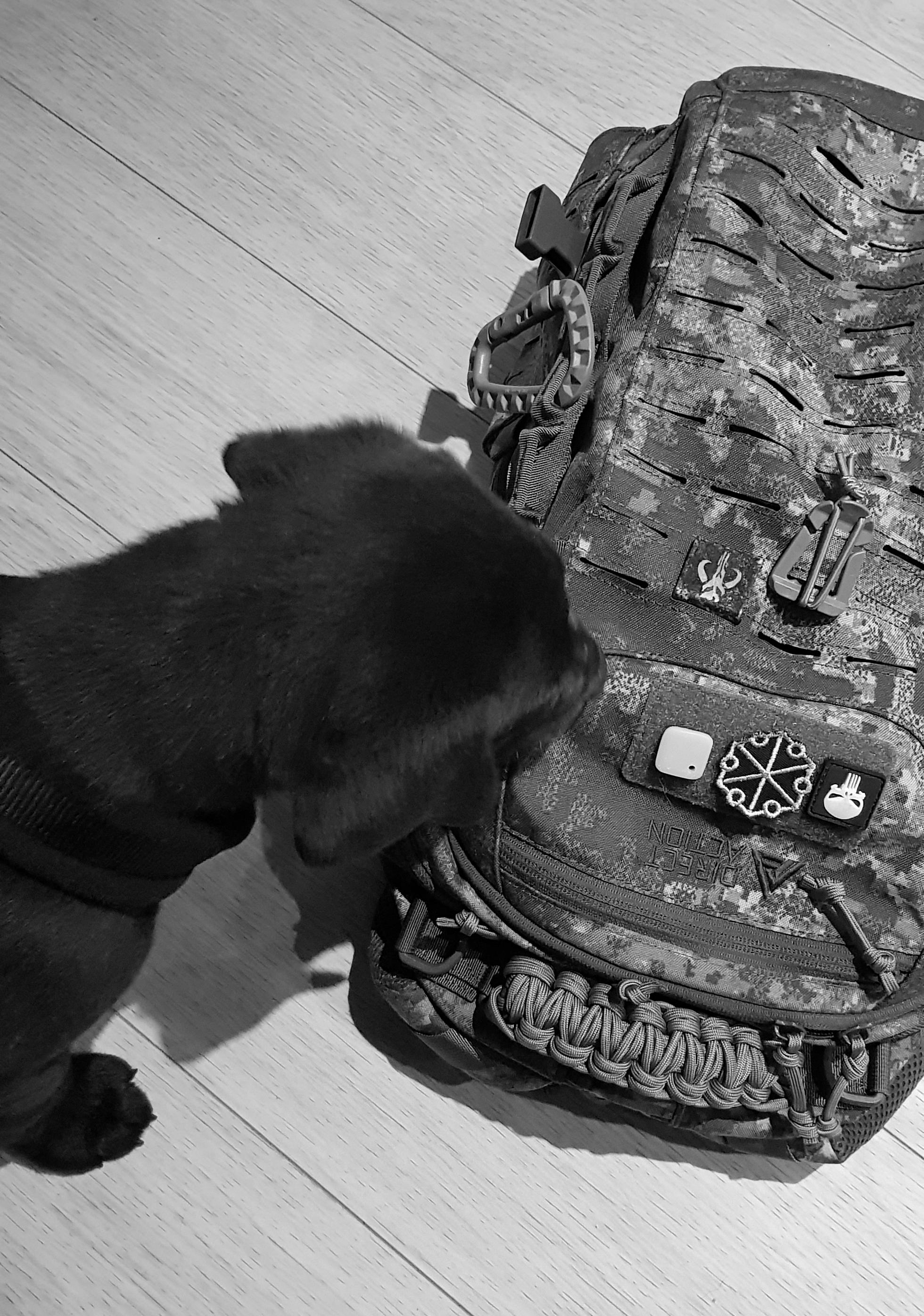 PenCott GreyHound New exclusive camo pattern