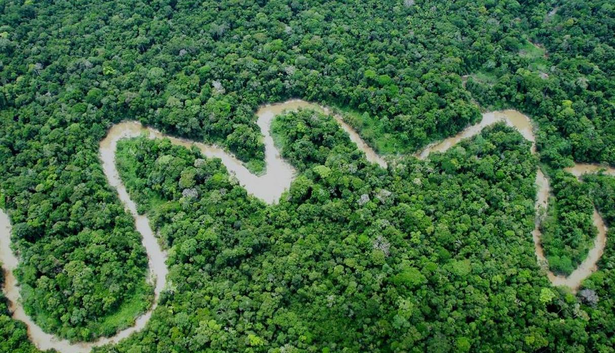 Peru and Germany look towards accords to protect Amazon rainforest