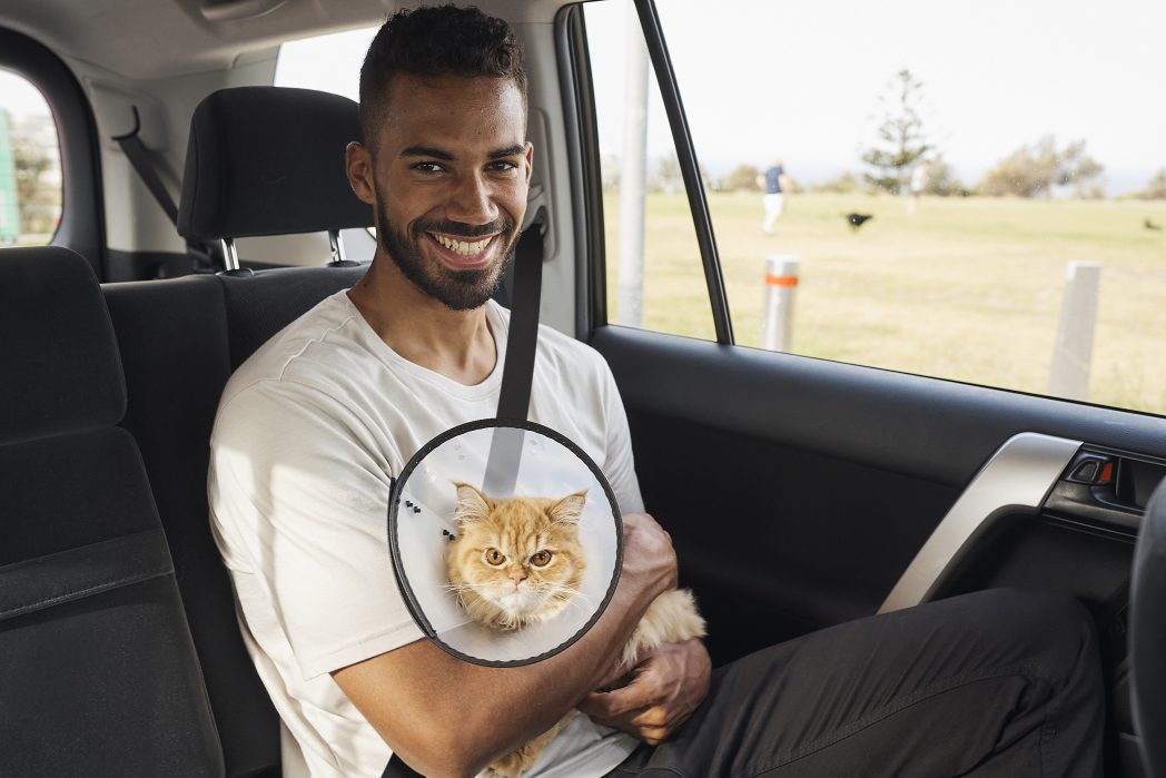 Uber lanza nuevo servicio para viajar con tu mascota