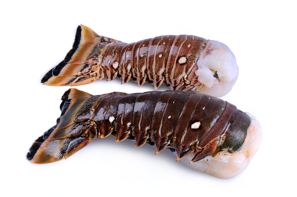 Rabos Lagosta 250/350gr PESCACERTA