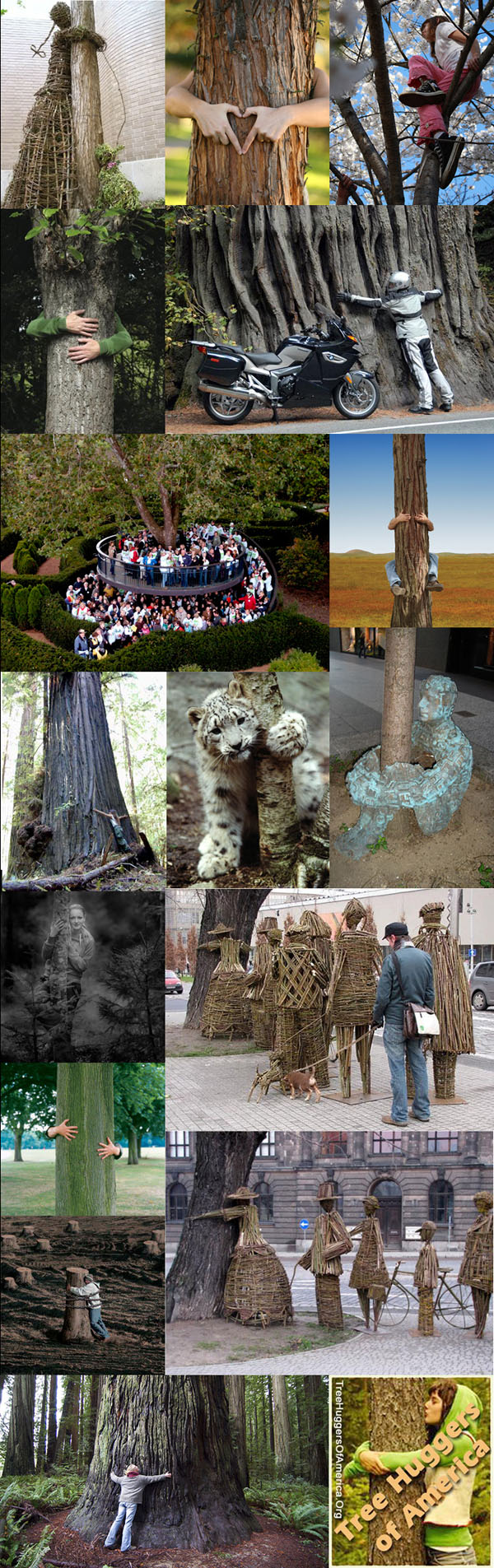 Treehuggers Peščanik Peščanik
