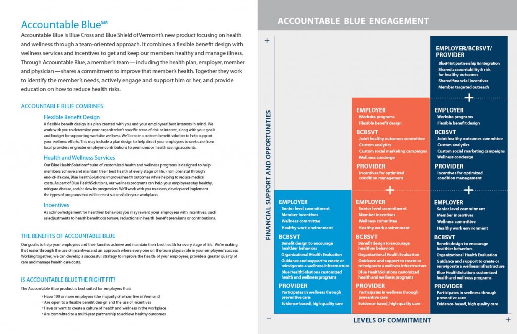 Blue Cross Blue Shield of Vermont Pesce Creative