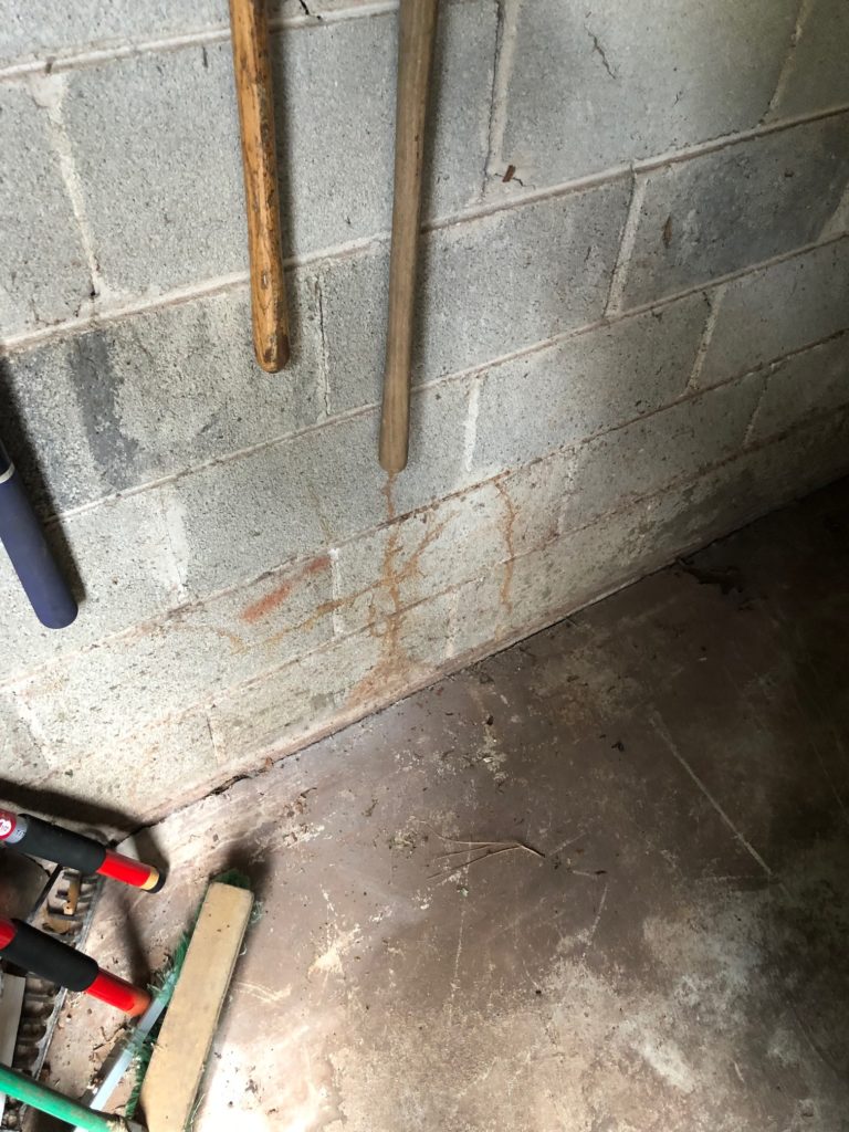 Termite Inspections In Birmingham, AL