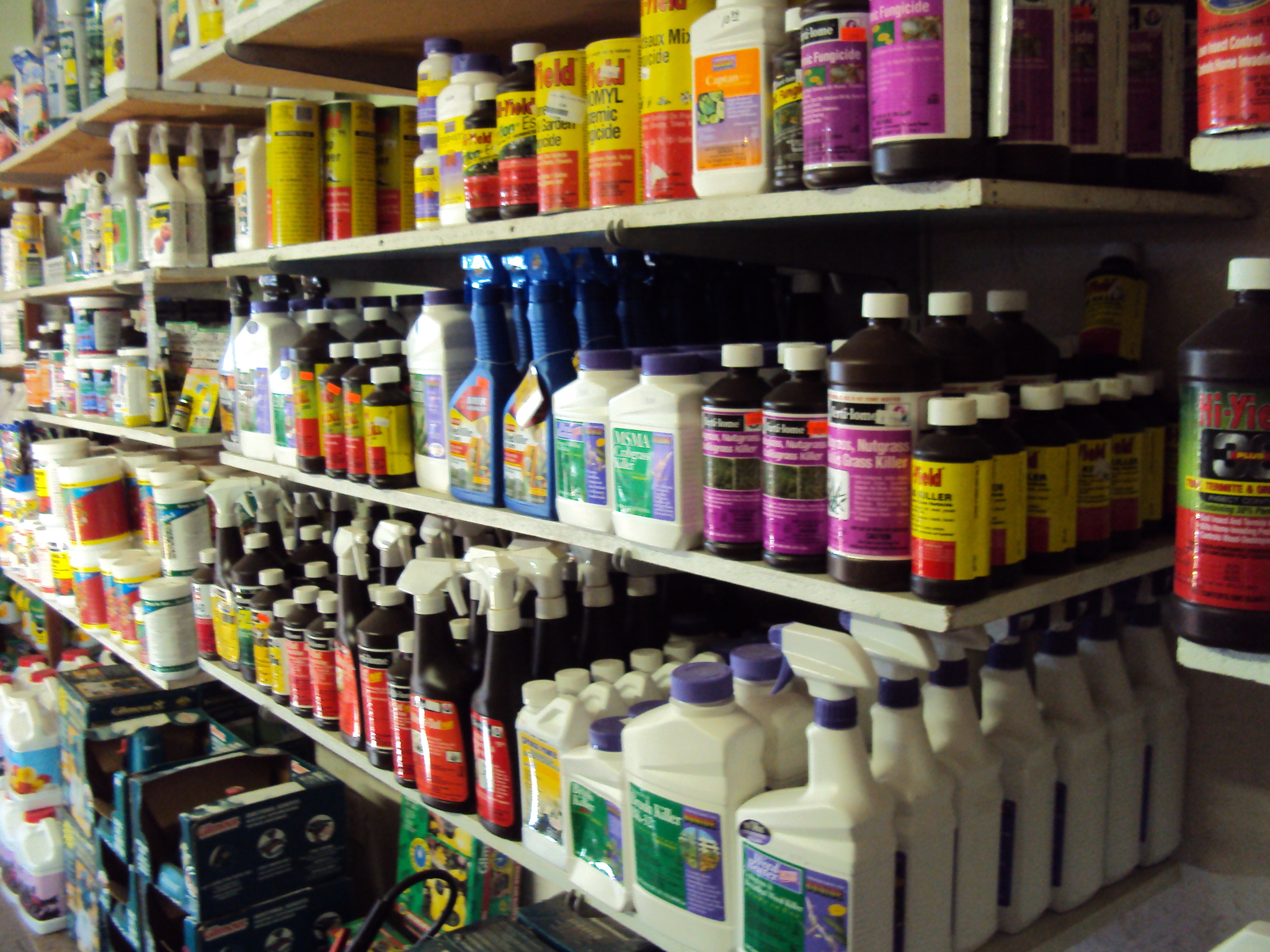 Pesticides Cheap Pest Control Brisbane