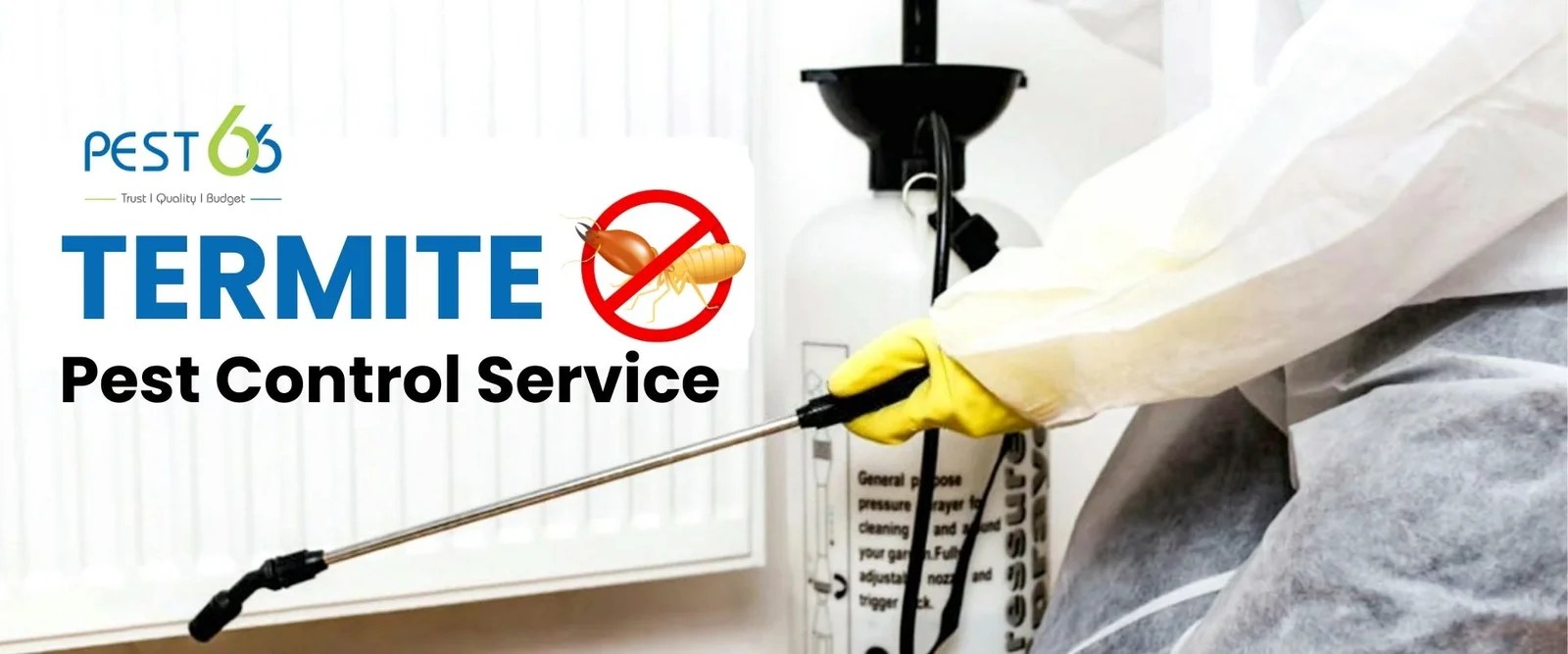 Pest 66 Pest Control Services in Coimbatore