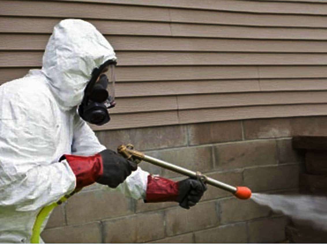 Best Pest Control Services in Albuquerque, NM TNT PEST.