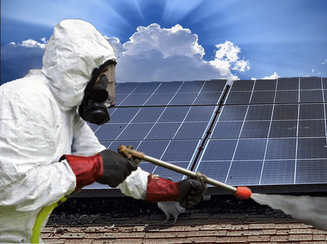 Pigeon Removal and Solar Panel Enclosures in Albuquerque, NM by Pest