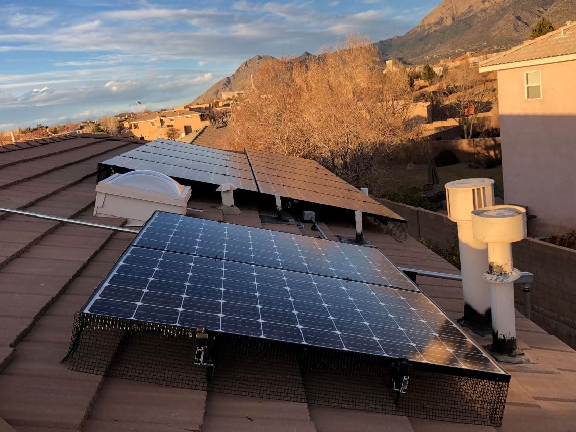 Pigeon Removal and Solar Panel Enclosures in Albuquerque, NM by Pest