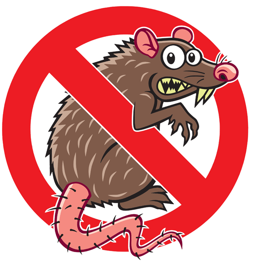 Pest Control Victoria PestBusters Victoria, BC