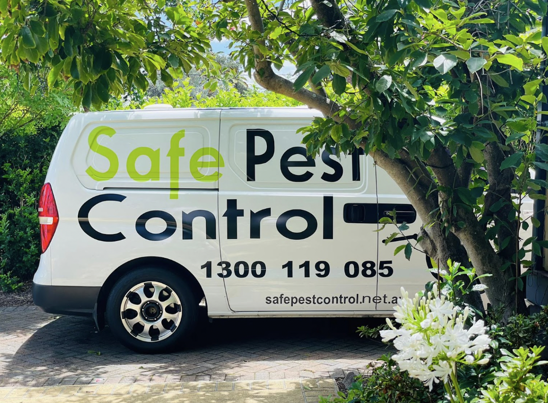 Sydney's Top Five Most Unwanted Pests and How to Deal with Them Pest ControlSydney