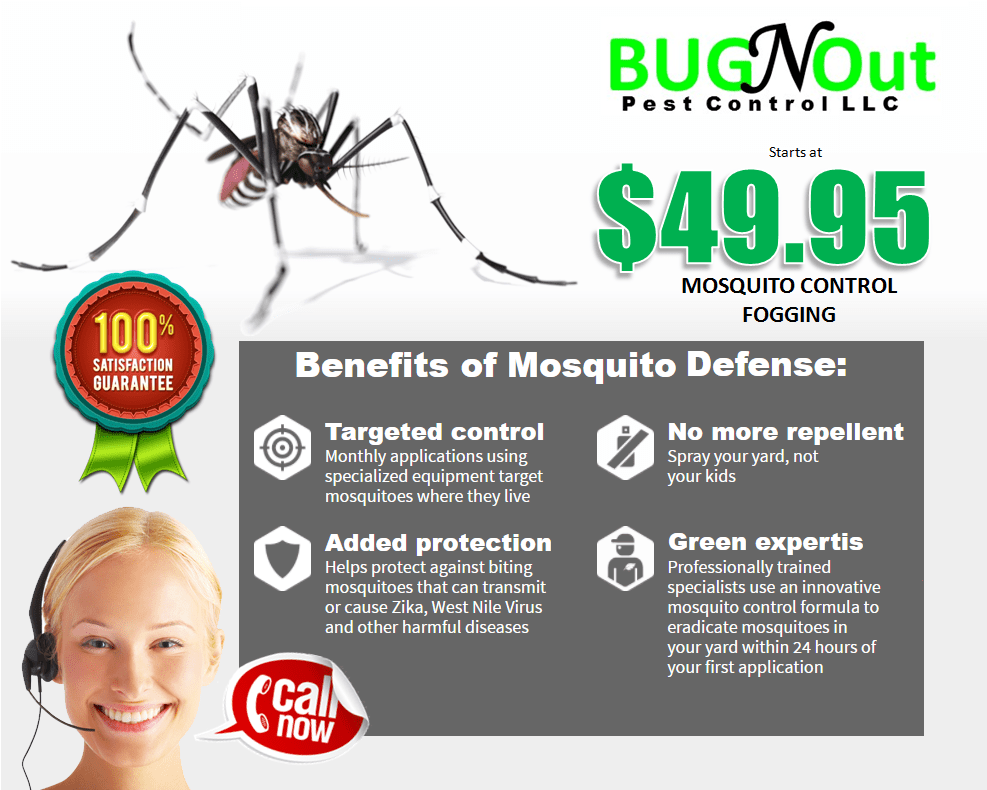 Houston Mosquito Control Houston Pest Control Bug N Out