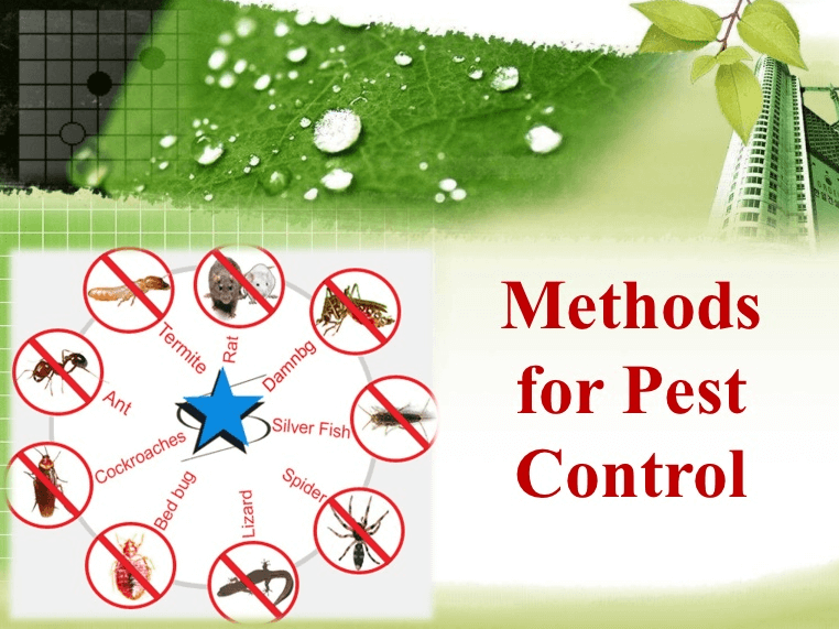 Pest Control Chicagoland Inc Chicago Exterminators / Anti pest