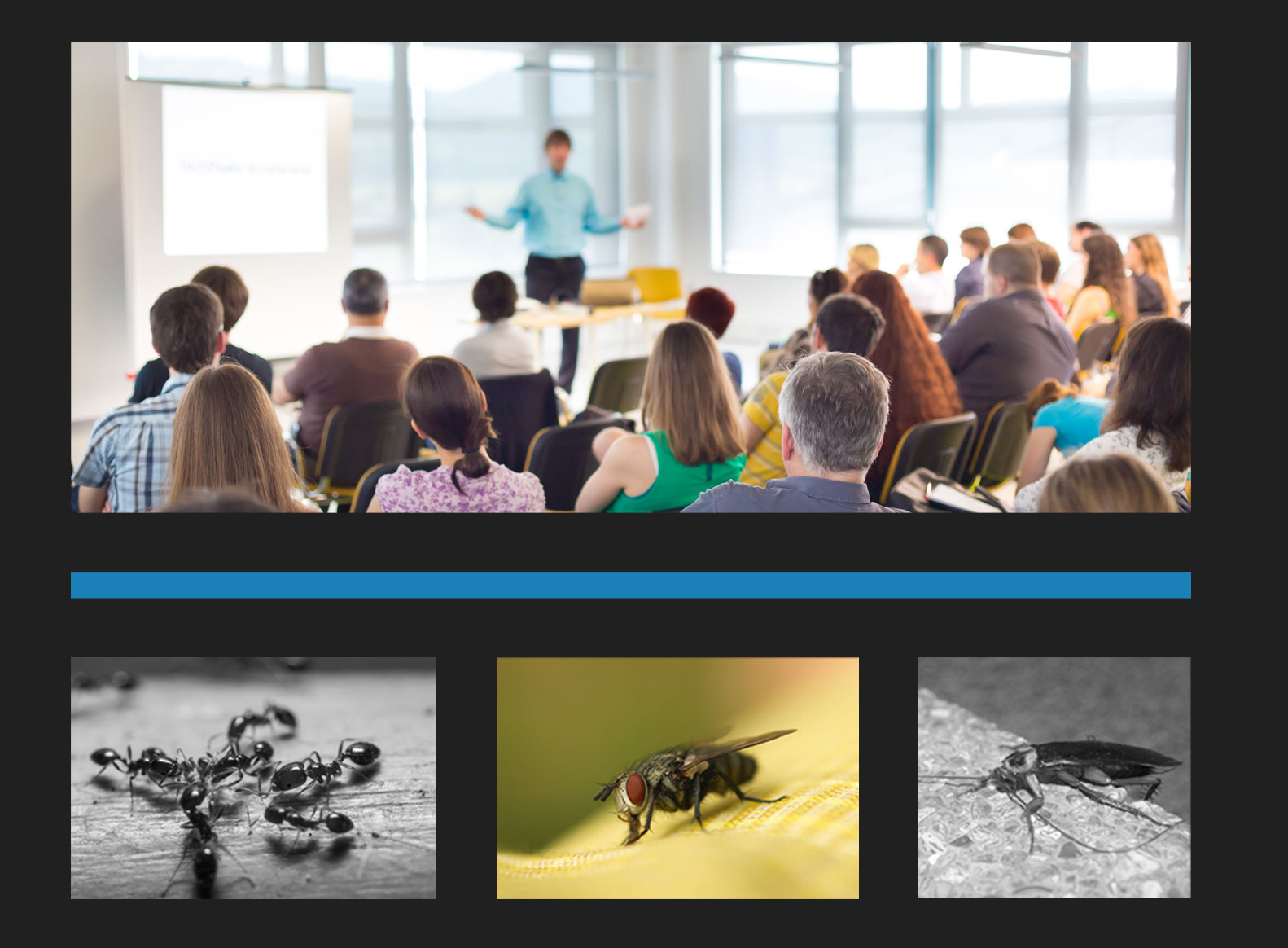 Pest Control Training & Education Pest Control Consultants