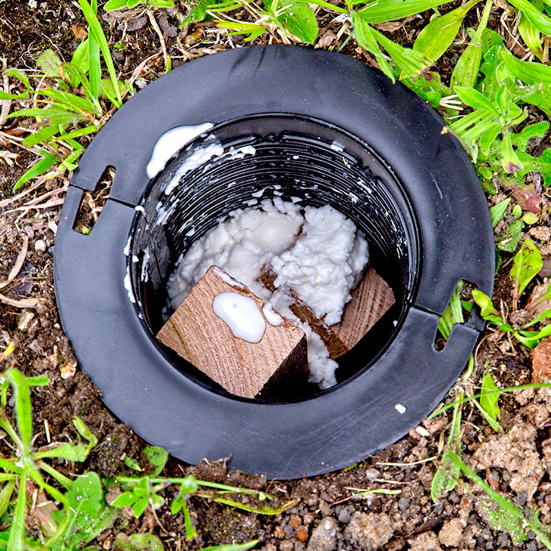 ABIDE™ Termite Bait 100g Buy DIY Pest Control Products Australia