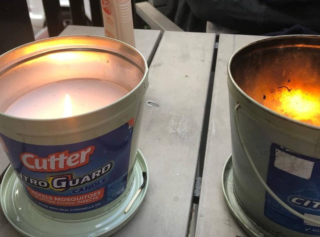7 Best Citronella Candles for Mosquitoes in 2024 [Detailed Reviews]
