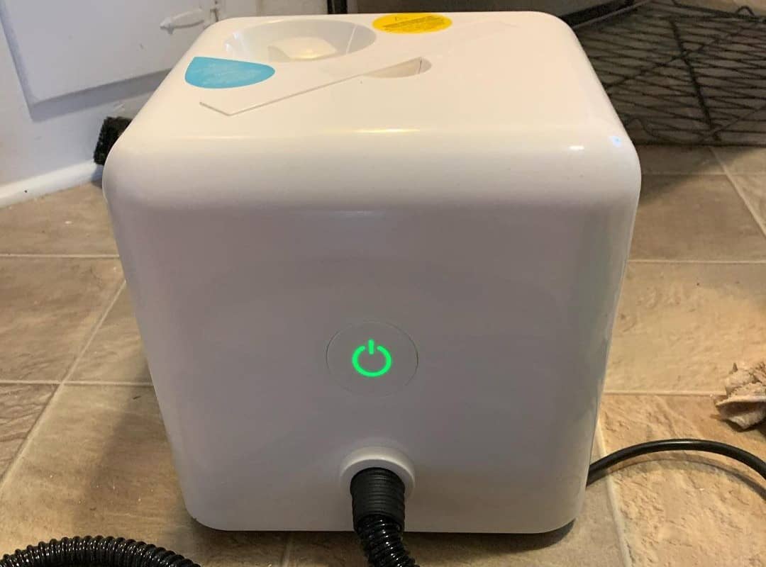 7 Best Steamers and Vacuums for Bed Bugs in 2023 [Detailed Reviews]