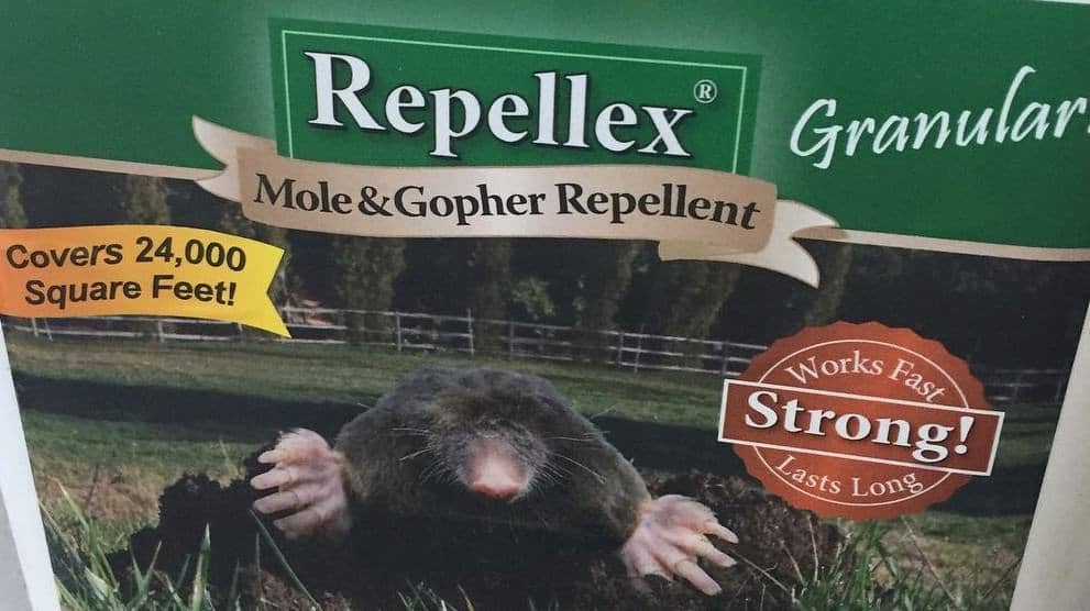 5 Best Gopher Repellents in 2024 [Detailed Reviews]