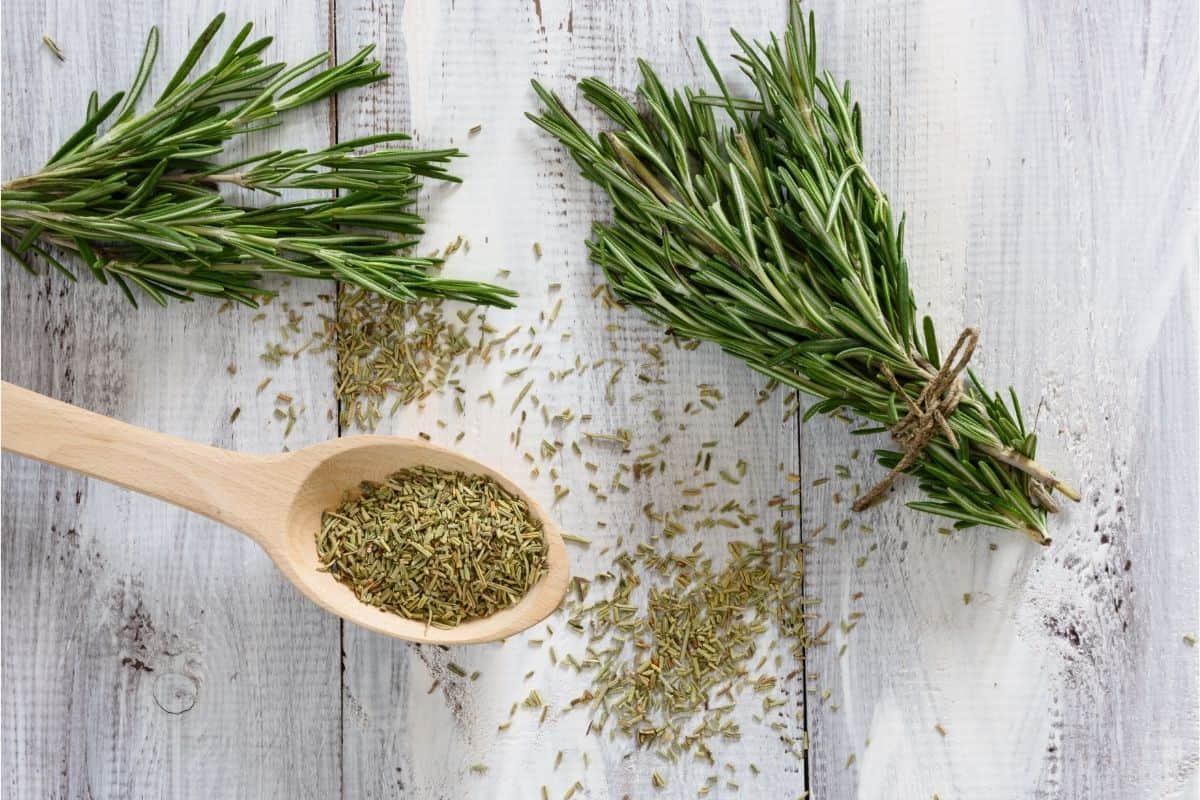 Does Rosemary Repel Mosquitoes Marketing Trick or Real Safety?