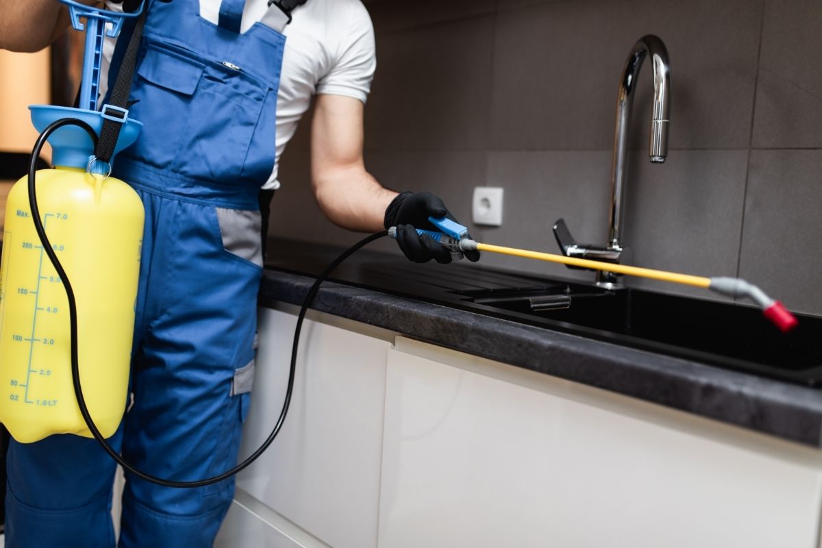 Termite Control Pest Control Heroes