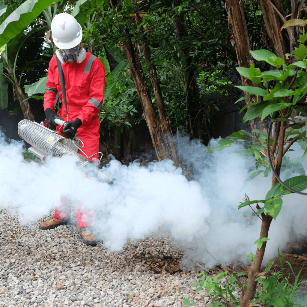 Home Pest Control Malaysia