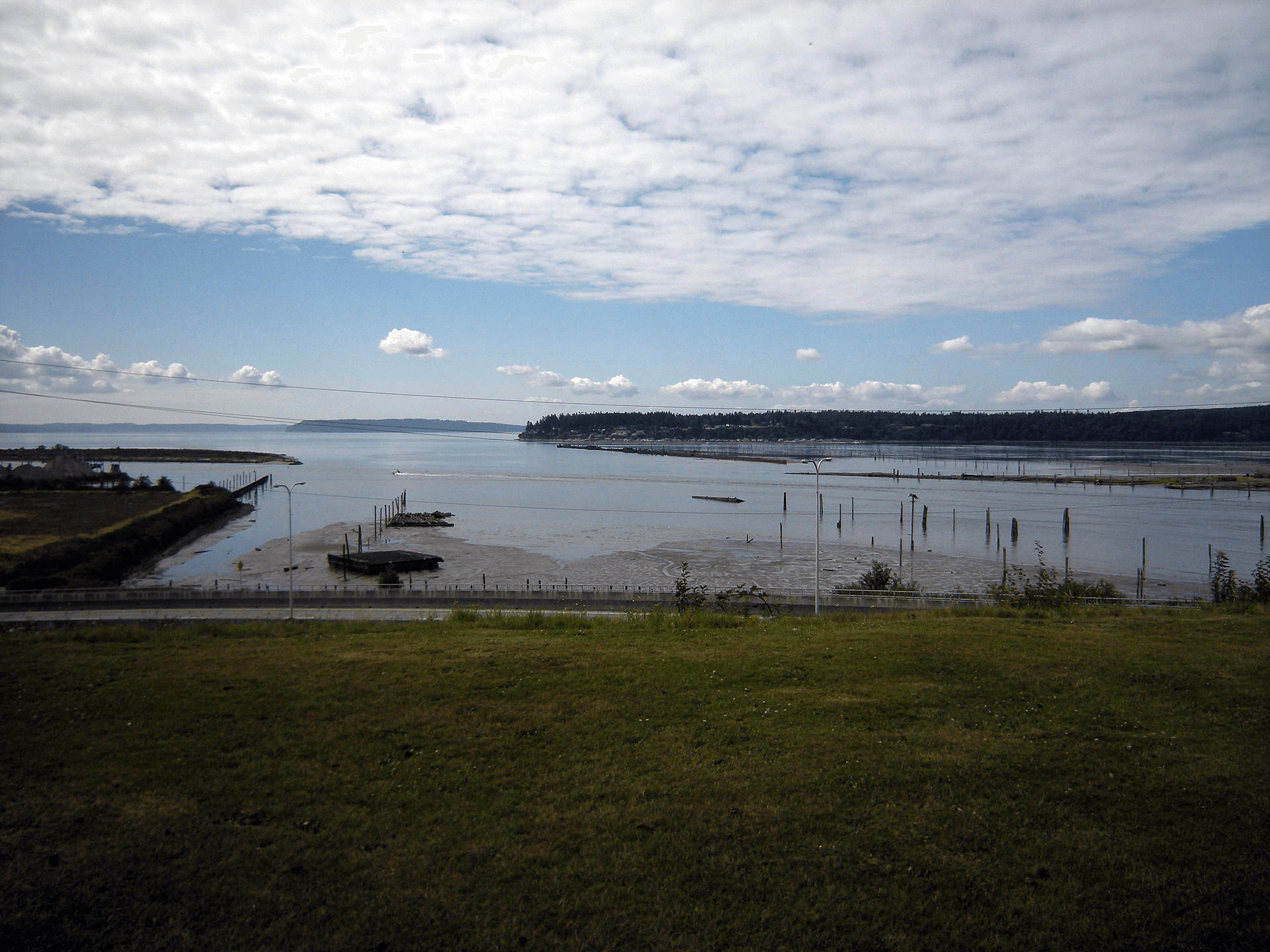Greater Everett Pest Control Northwest
