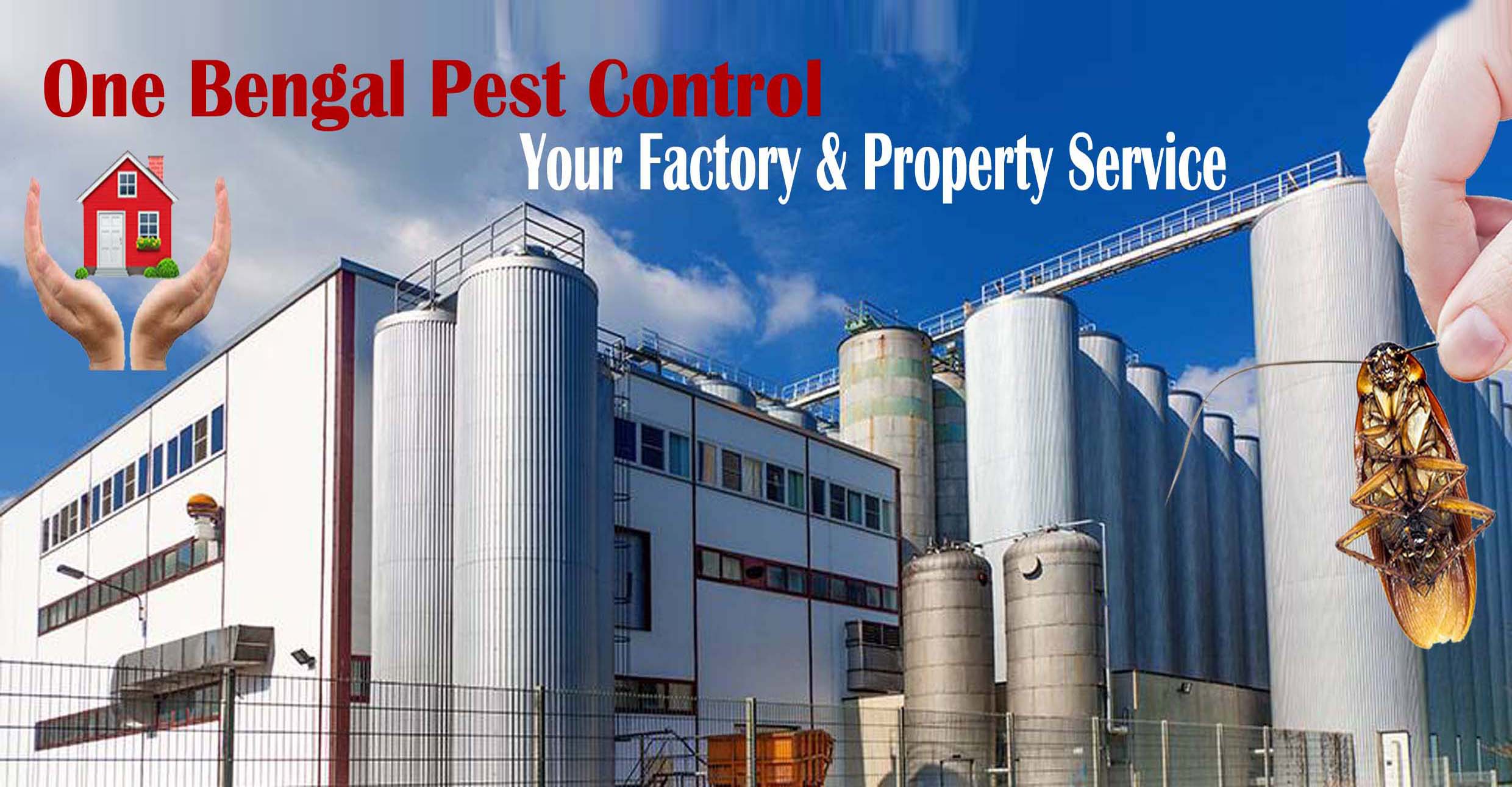 One Bengal Pest control service in Dhaka