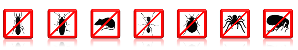 One of The Best Soil Poisoning Companies PreConstruction Termite