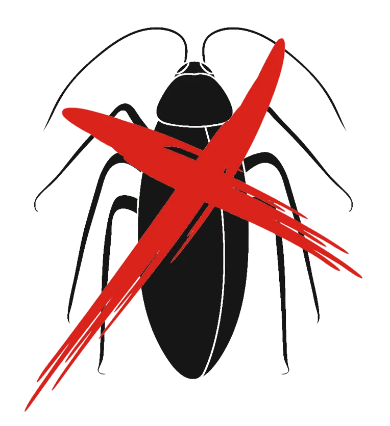 PCD 24 Hour Pest Control Service in Dubai Pest Controls Dubai