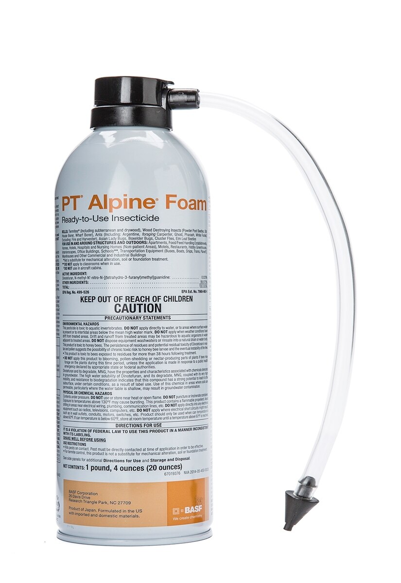 Alpine Foam provides quick control ant & termite infestation