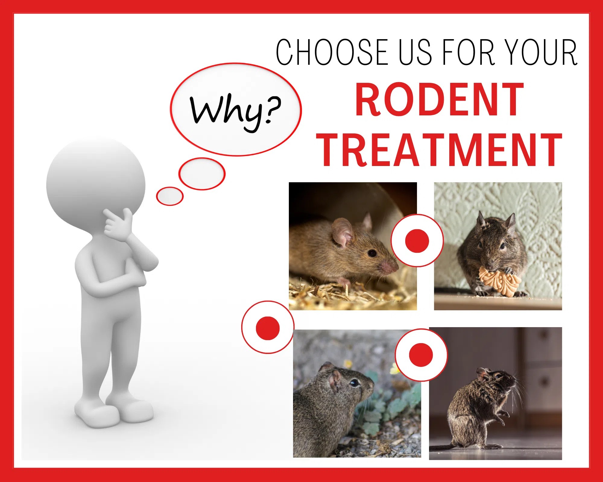 Why choose us for your Rodent Treatment Sydneys Best Pest Control