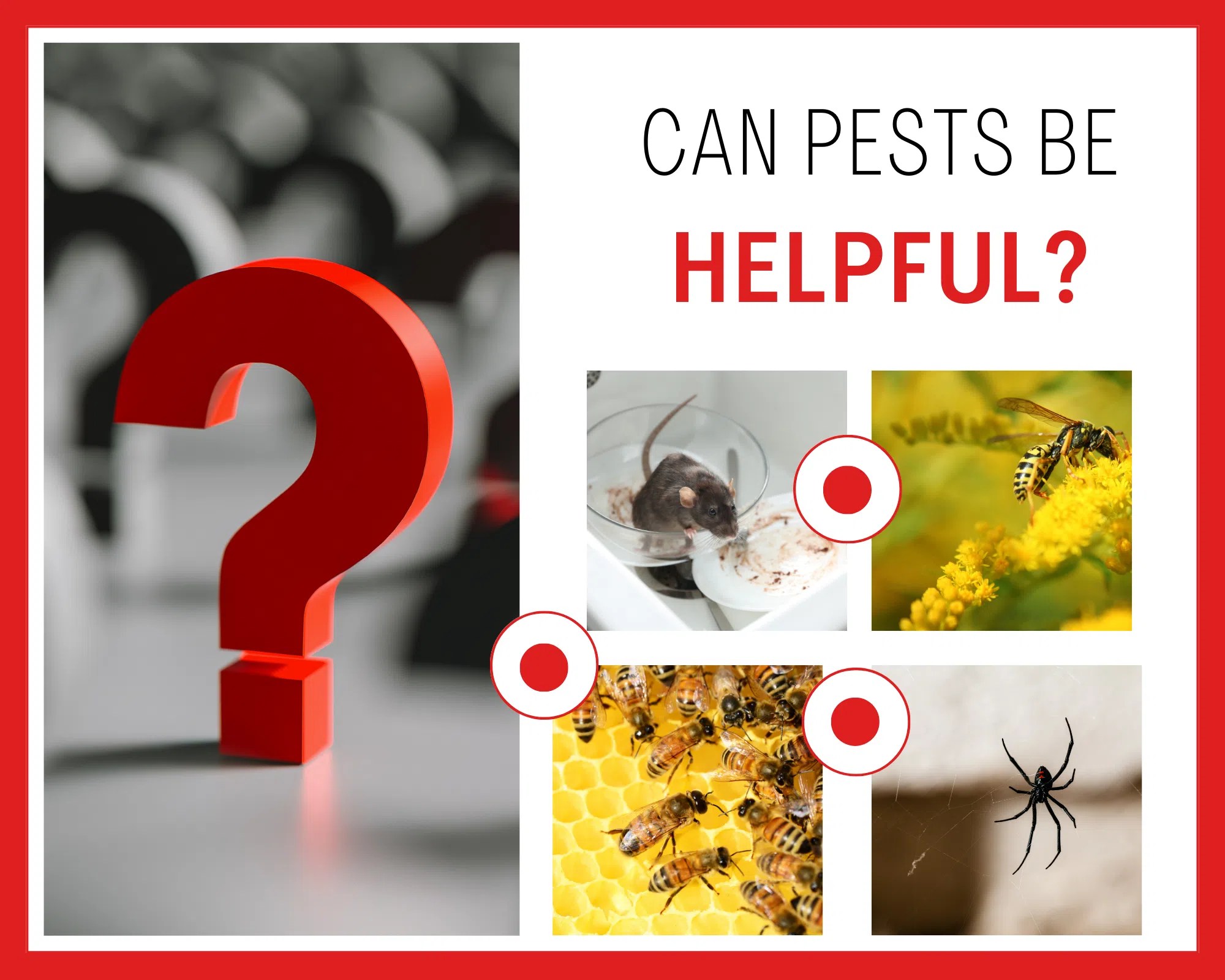 Can pests be helpful?