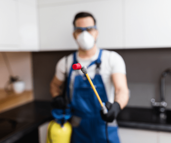 Health Risks from Pests, Pest Control Unit Hawthorn