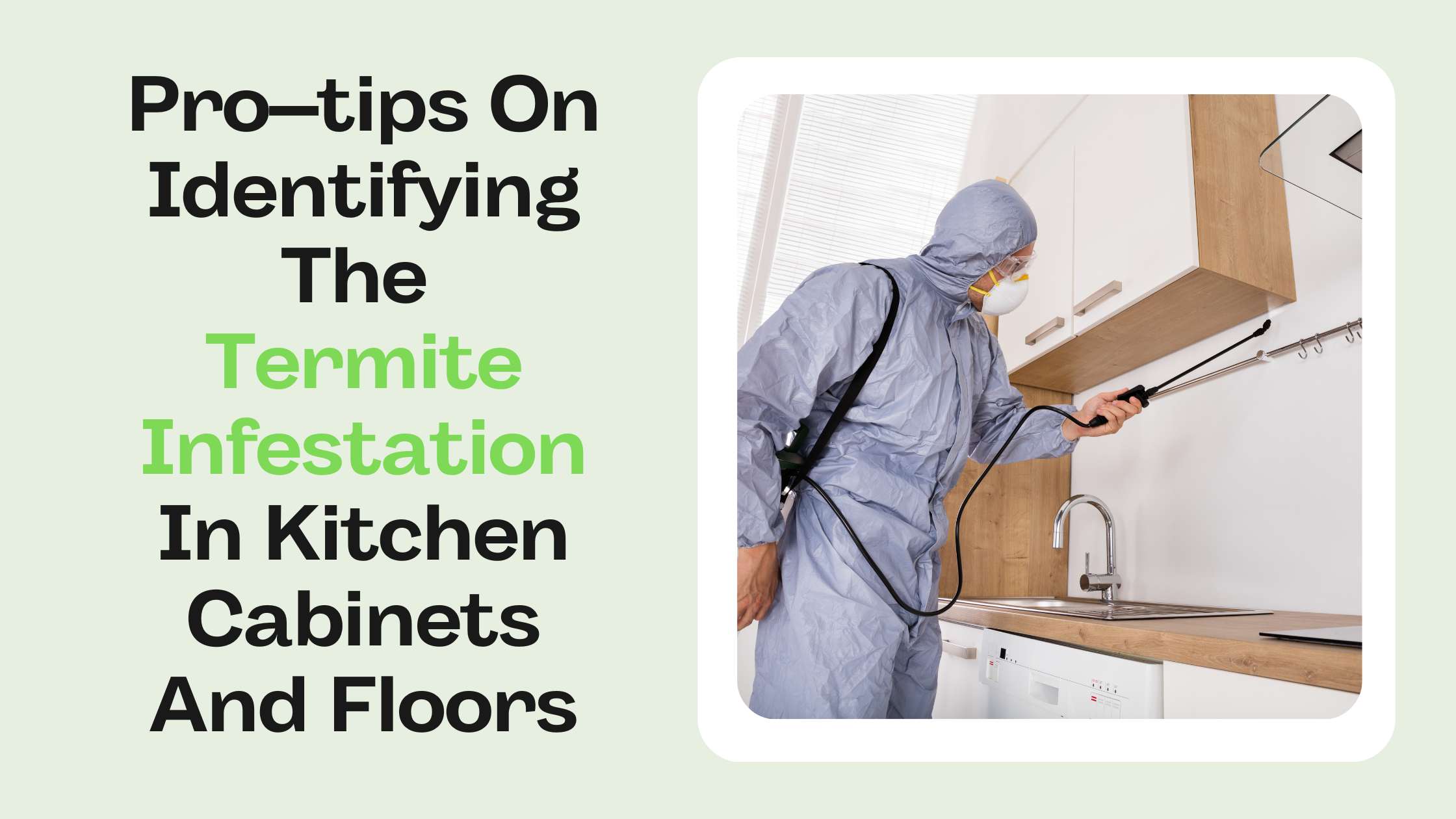 How Can The Termite Infestation In Kitchen And Floors Be