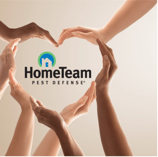  HomeTeam Pest Defense