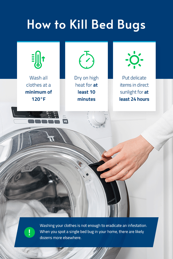 23 Bed Bug FAQs You're Itching to Ask Pestech